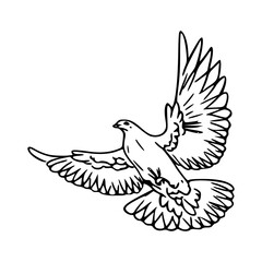 dove in flight line art