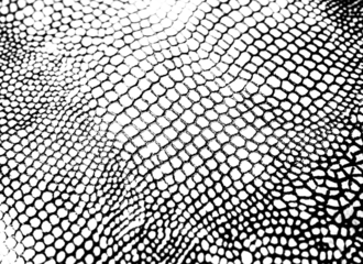 Textured Real Snake Skin Snakeskin Animal Print Transparent Overlay Background