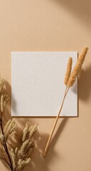 Blank white card with beige dried grasses