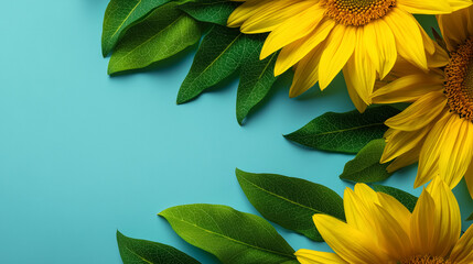 Bright sunflower composition on turquoise background with copy space, summer floral flatlay
