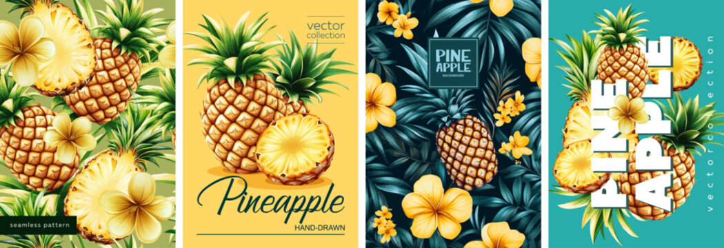 Hand drawn set of designs and patterns. Vectorized gouache illustrations. Illustrations of pineapple with flowers and leaves for poster, prints, menu, card or textile