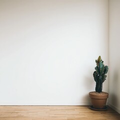Empty room with plant