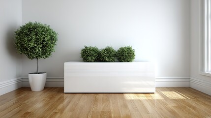 Minimalist Interior with Potted Plants