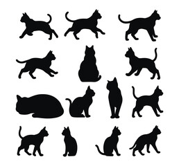 silhouette of a cat playing happily