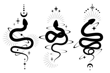 Fototapeta premium Celestial mystic illustration with snakes and occult symbols. Black tattoo with serpents moon and stars. Kundalini fantasy vector art.