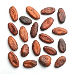 Cocoa beans arranged on white background
