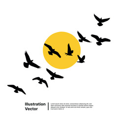 Flock of birds flying in front of the sun, symbolizing freedom and nature