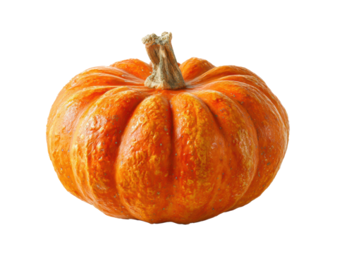 Vibrant orange pumpkin for autumn decoration and seasonal cooking on a transparent background, cut out
