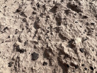 Dry sandy ground with scattered rocks and footprints. Natural texture background useful for design, construction, environment, geology, and outdoor nature concepts.