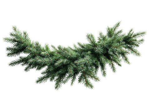 Green pine garland for festive decor and celebration purposes on a transparent background, cut out