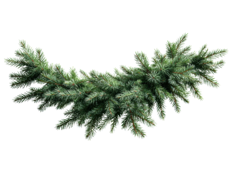 Green pine garland for festive decor and celebration purposes on a transparent background, cut out