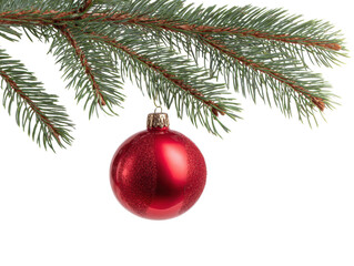 Red Christmas ornament hanging on evergreen branch during winter on a transparent background, cut out