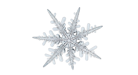 Intricate Six- Pointed Snowflake Macro Photograph ice crystal