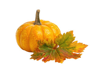 Vibrant autumn pumpkin with colorful leaves for seasonal decor on a transparent background, cut out
