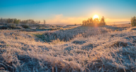 the first frost and fog at dawn in early autumn.