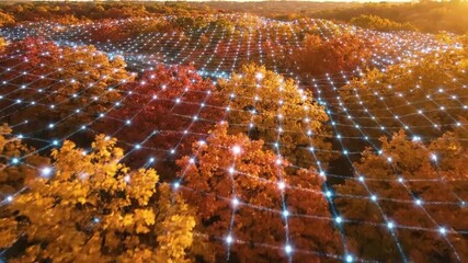 Digital network overlaying a vibrant autumn forest canopy, symbolizing connectivity and nature's data integration. - Powered by Adobe