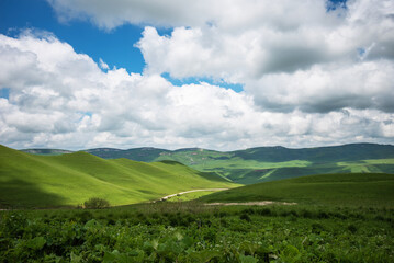 vibrant green, rolling hillside landscape under a dynamic sky with scattered clouds. The terrain shows varying shades of green with a dirt path winding through the lush fields, rural tranquility.