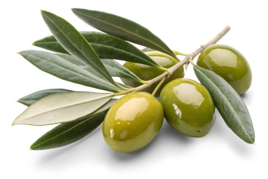 Green olives with leaves isolated on white or transparent background