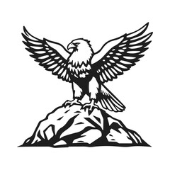 Eagle bird illustration, eagle vector drawing, wild eagle art, eagle sketch on a rock