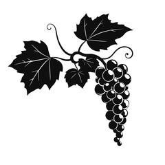 Grapes bunch illustration, vineyard fruit drawing, wine grapes art, grapevine leaves sketch, vintage grape cluster for design and decoration