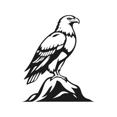 Eagle bird illustration, eagle vector drawing, wild eagle art, eagle sketch on a rock