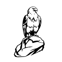 Eagle bird illustration, eagle vector drawing, wild eagle art, eagle sketch on a rock
