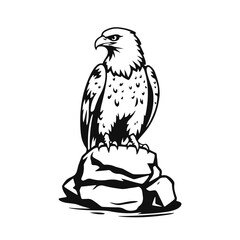 Eagle bird illustration, eagle vector drawing, wild eagle art, eagle sketch on a rock