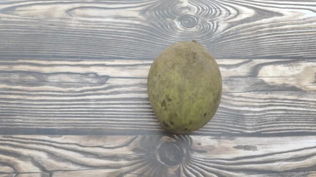 Mangifera foetida or Pakel or Bacang is a tropical mango relative. This fruit is distinct for its pungent aroma and fresh sour or sweet and sour taste.