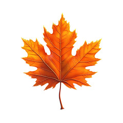 Fototapeta premium A single vibrant yellow and orange maple leaf, isolated on a transparent background, Generative AI