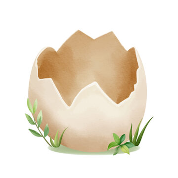 Empty animal egg shell. Watercolor prehistoric cracked egg from which baby dino hatched for kids decor.