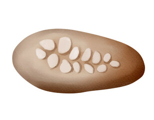 A watercolor fossil on a stone. Delicate shades reveal the hidden bones. Perfect for nature illustrations.