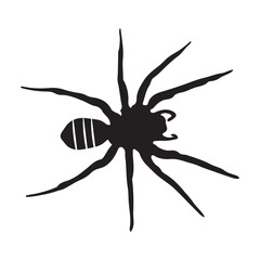 Halloween Spider Icon