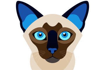 A close-up portrait of a Siamese cat with blue eyes
