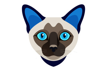A close-up portrait of a Siamese cat with blue eyes