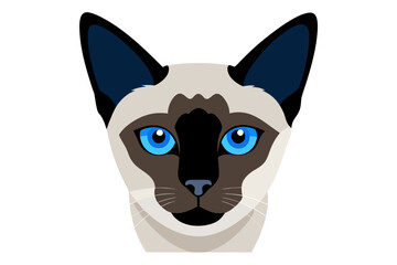 A close-up portrait of a Siamese cat with blue eyes