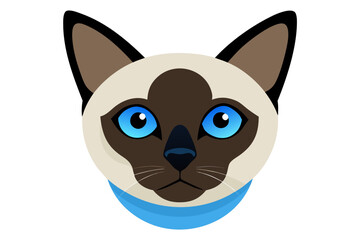 A close-up portrait of a Siamese cat with blue eyes