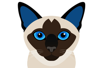 A close-up portrait of a Siamese cat with blue eyes