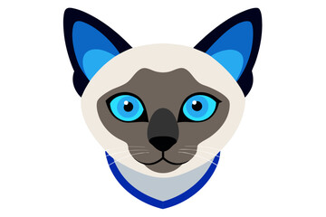 A close-up portrait of a Siamese cat with blue eyes