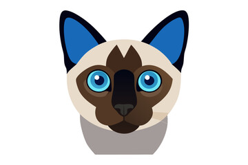 A close-up portrait of a Siamese cat with blue eyes