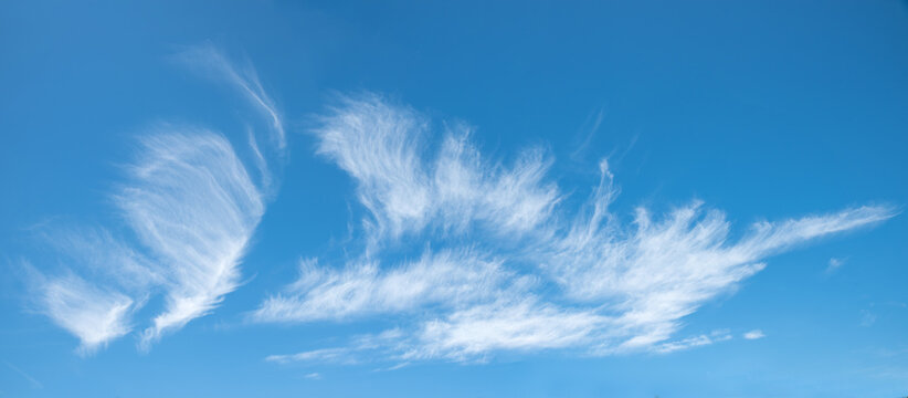 view of a blue sky with Wispy cirrus clouds at high altitude in strong winds.