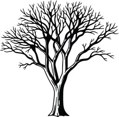 Obraz premium Vector bare tree branches winter season silhouette Illustrator
