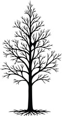 Obraz premium Vector Bare tree silhouette autumnal isolated natural element Illustrator