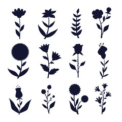  Botanical silhouette
