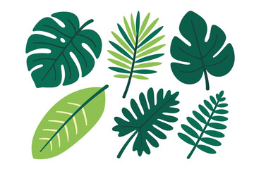 Collection of various tropical jungle leaves and botanical elements in different shades of green on a white background