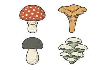 Diverse wild forest mushrooms with distinct caps, stems, and gills, showcasing various species found in natural habitats