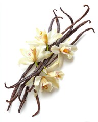 Vanilla Beans And Orchids On White Background