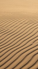 Obraz premium Captivating desert sand dunes showcase intricate rippling patterns creating a mesmerizing natural texture perfect for abstract backgrounds and serene landscapes.