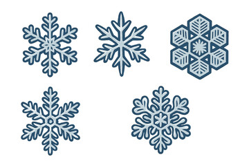 Collection of unique winter snowflakes with intricate ice crystal patterns and decorative frozen snow elements
