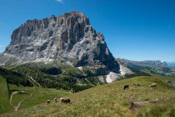 Val di Fassa and Val Gardena, Selva di Fassa and Moena, tourist destinations in the Dolomites, Trentino Alto Adige