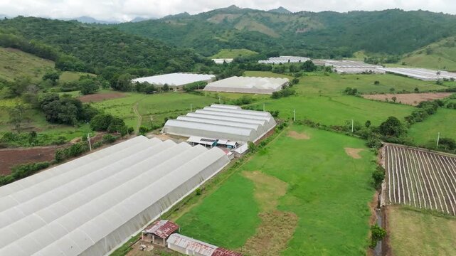 Vegetable greenhouse in Ranco Arriba, Ocoa, Dominican Republic